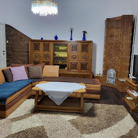 Casa Victoria Apartment Târgu-Mureş Екстериор снимка
