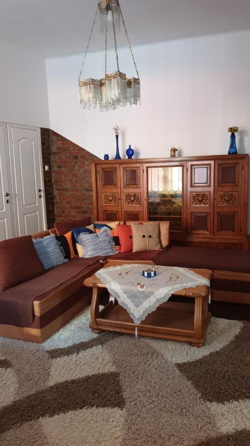 Casa Victoria Apartment Târgu-Mureş Екстериор снимка