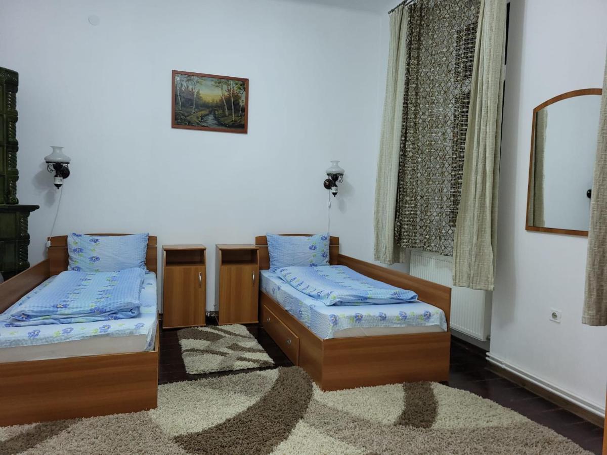 Casa Victoria Apartment Târgu-Mureş Екстериор снимка