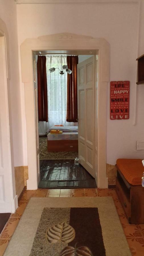 Casa Victoria Apartment Târgu-Mureş Екстериор снимка