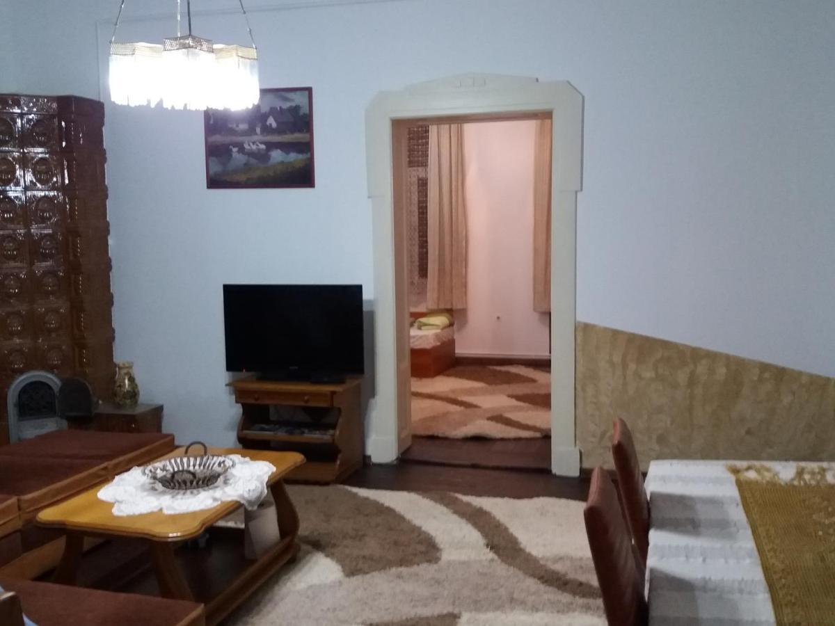 Casa Victoria Apartment Târgu-Mureş Екстериор снимка